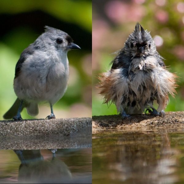 Bildschirmarbeiter - Picdump 18.07.2014