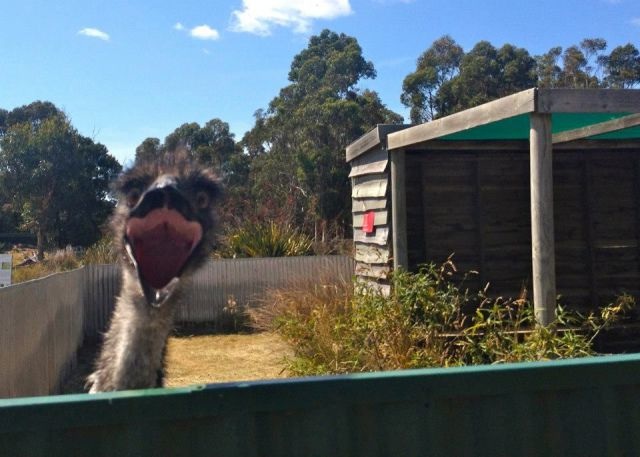 Bildschirmarbeiter - Picdump 18.07.2014