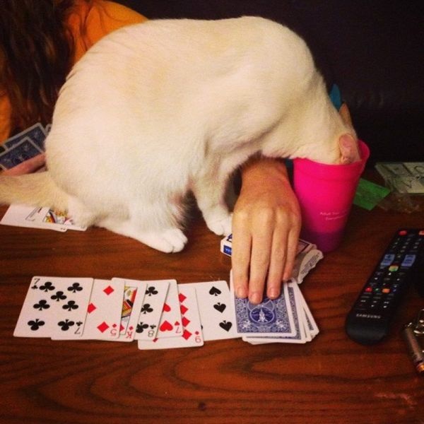 Bildschirmarbeiter - Picdump 18.07.2014