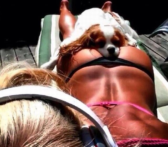 Bildschirmarbeiter - Picdump 18.07.2014