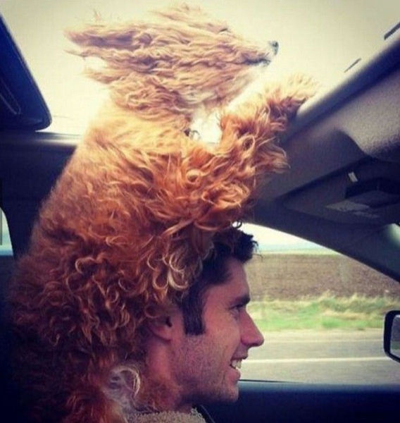 Bildschirmarbeiter - Picdump 18.07.2014