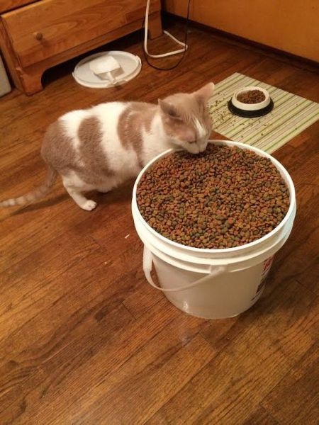 Bildschirmarbeiter - Picdump 18.07.2014