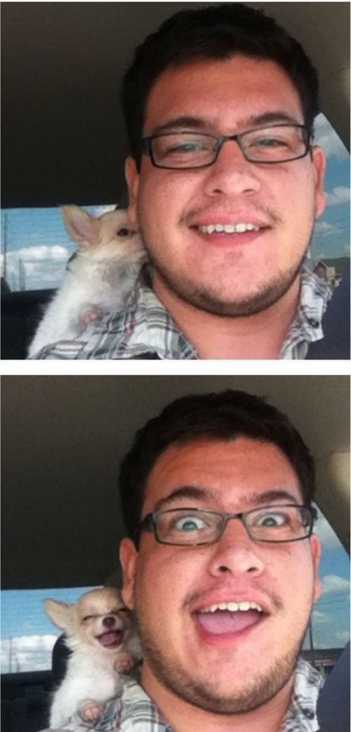 Bildschirmarbeiter - Picdump 18.07.2014