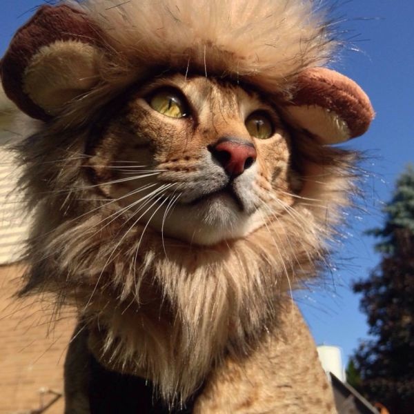 Bildschirmarbeiter - Picdump 18.07.2014