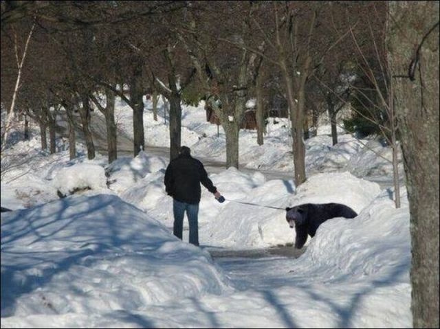 Bildschirmarbeiter - Picdump 18.07.2014