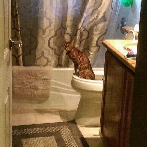 Bildschirmarbeiter - Picdump 18.07.2014