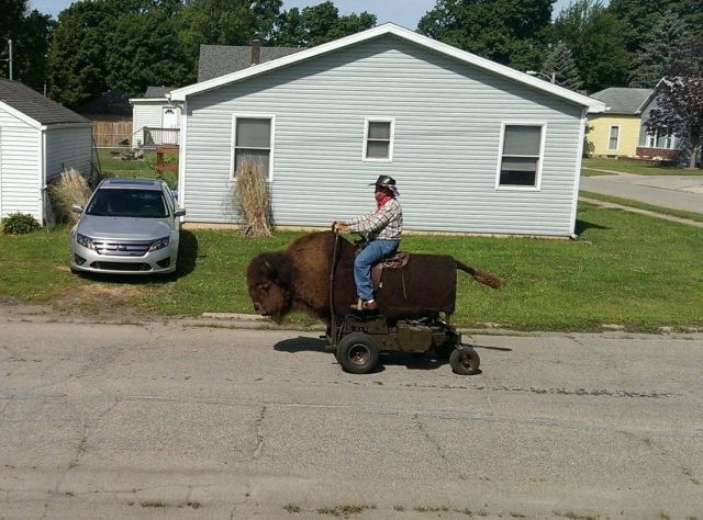 Bildschirmarbeiter - Picdump 18.07.2014