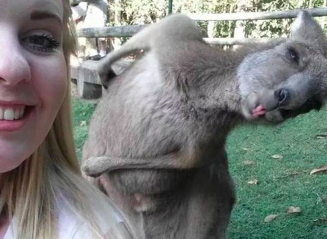 Bildschirmarbeiter - Picdump 25.07.2014