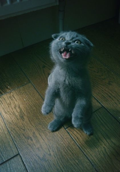 Bildschirmarbeiter - Picdump 25.07.2014