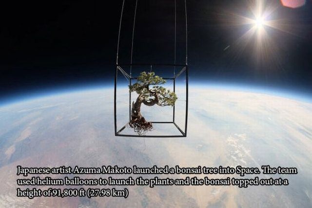 Bildschirmarbeiter - Picdump 25.07.2014