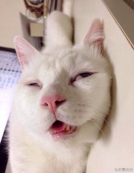 Bildschirmarbeiter - Picdump 25.07.2014