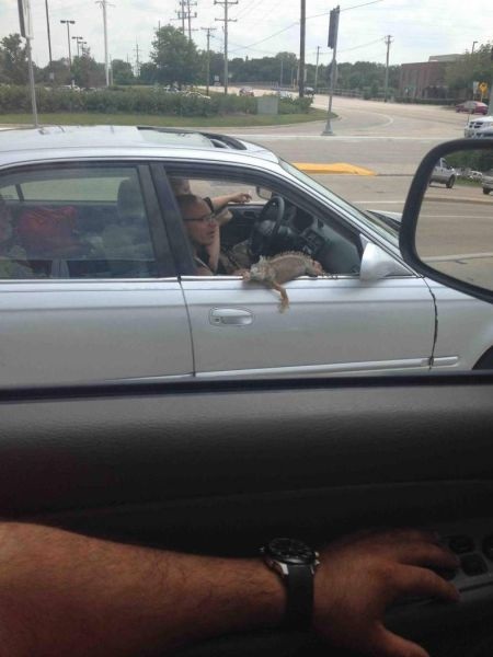 Bildschirmarbeiter - Picdump 25.07.2014