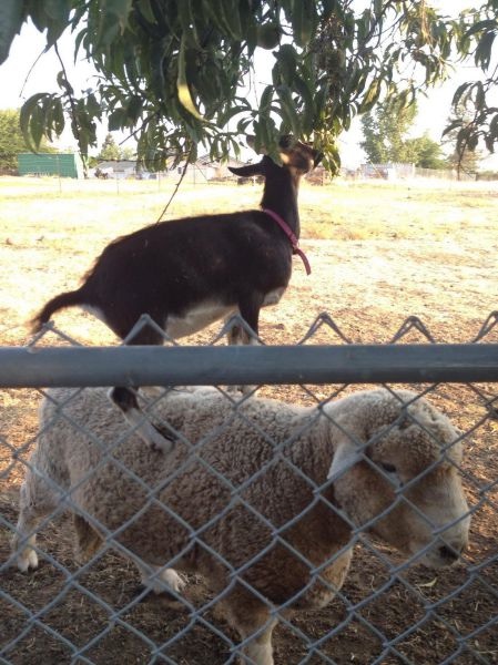 Bildschirmarbeiter - Picdump 25.07.2014