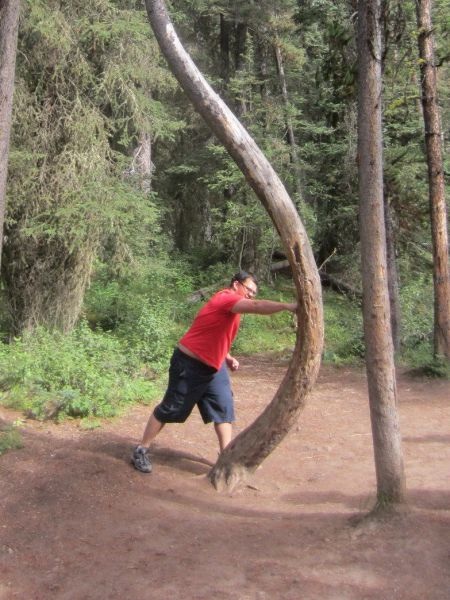 Bildschirmarbeiter - Picdump 25.07.2014