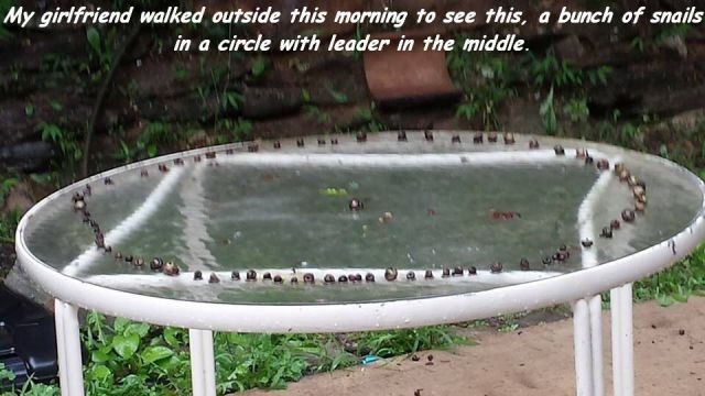 Bildschirmarbeiter - Picdump 25.07.2014