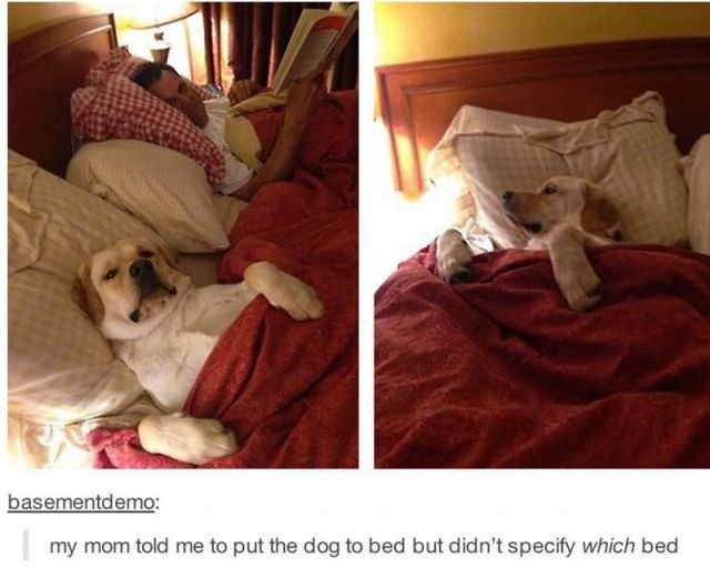 Bildschirmarbeiter - Picdump 25.07.2014