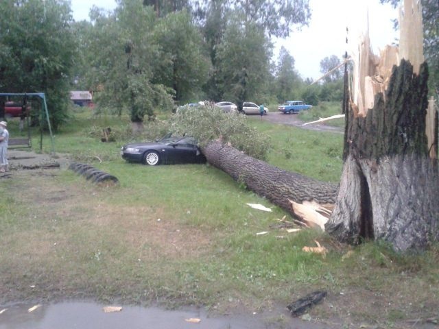 Bildschirmarbeiter - Picdump 25.07.2014