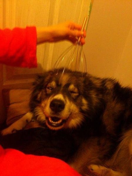 Bildschirmarbeiter - Picdump 25.07.2014