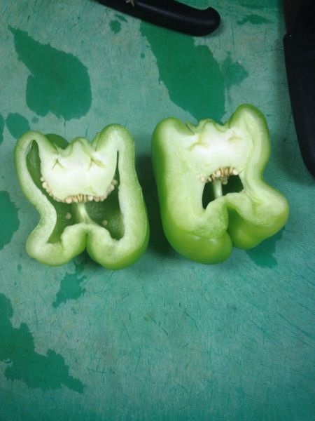 Bildschirmarbeiter - Picdump 25.07.2014