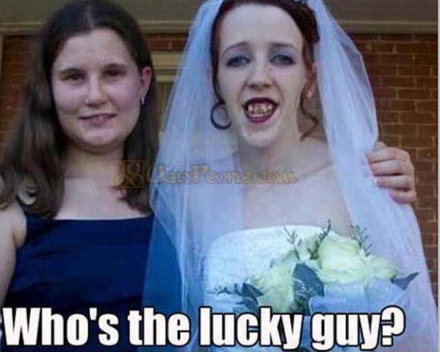 Bildschirmarbeiter - Picdump 25.07.2014