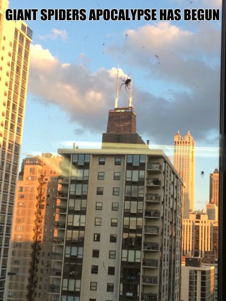 Bildschirmarbeiter - Picdump 25.07.2014