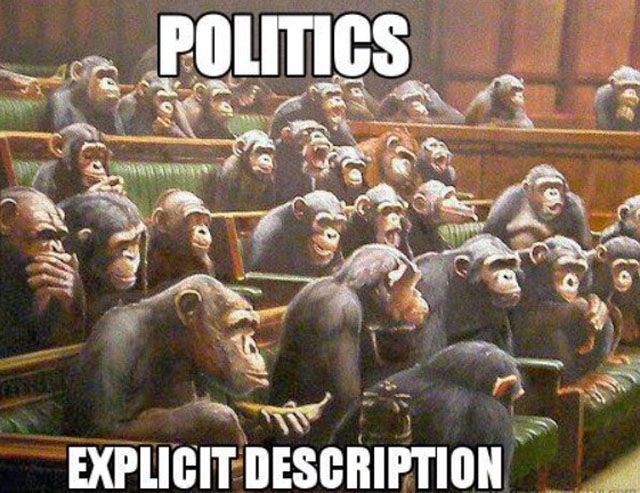 Bildschirmarbeiter - Picdump 25.07.2014