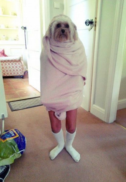 Bildschirmarbeiter - Picdump 25.07.2014