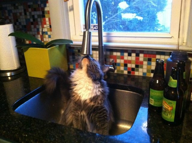 Bildschirmarbeiter - Picdump 25.07.2014