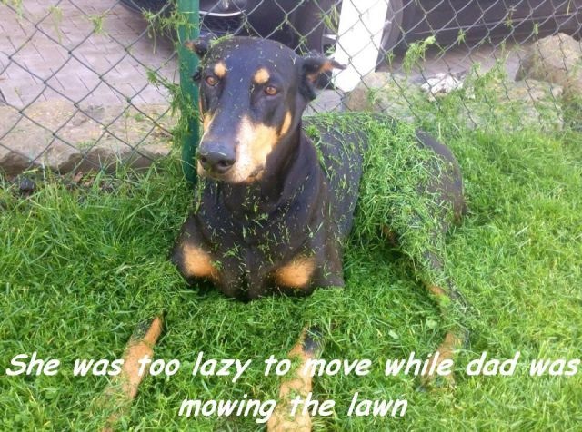 Bildschirmarbeiter - Picdump 25.07.2014