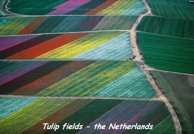 Bildschirmarbeiter - Picdump 25.07.2014