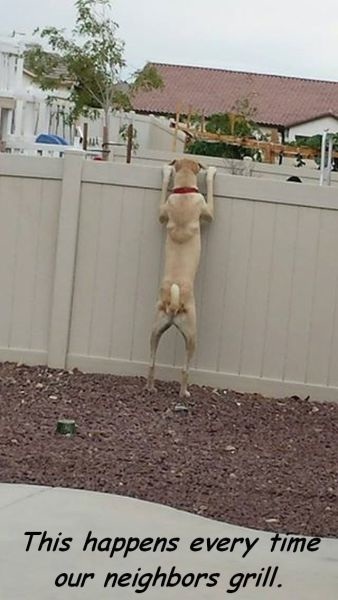 Bildschirmarbeiter - Picdump 25.07.2014