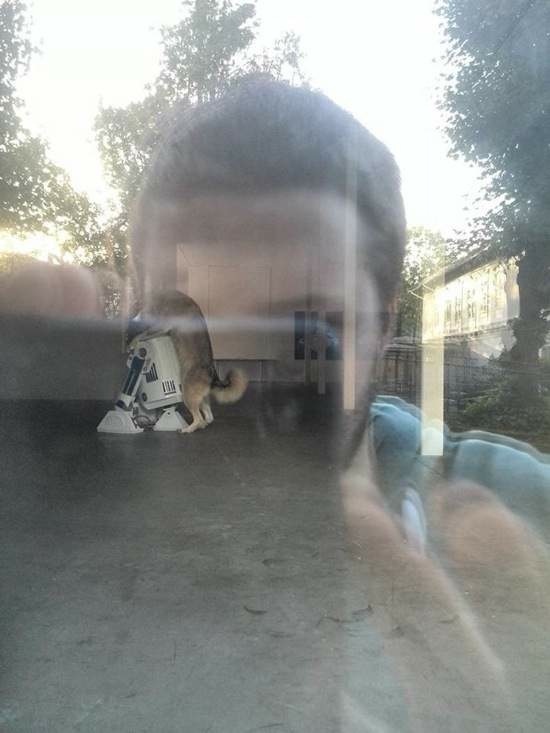 Bildschirmarbeiter - Picdump 25.07.2014