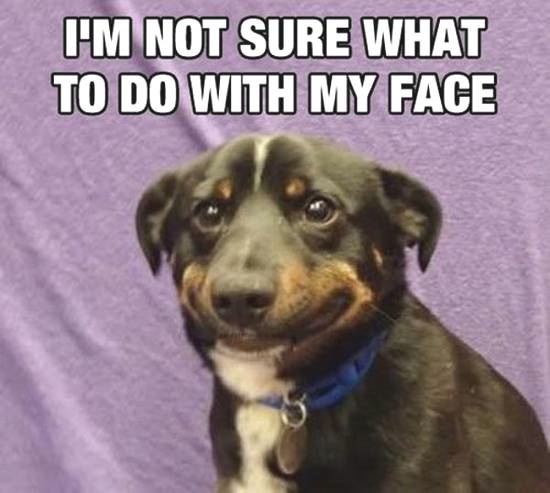 Bildschirmarbeiter - Picdump 25.07.2014