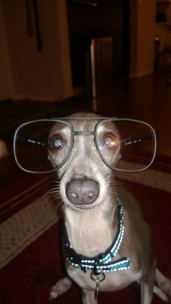 Bildschirmarbeiter - Picdump 15.08.2014