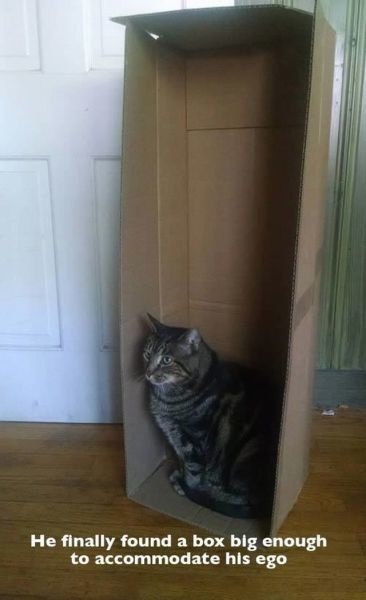 Bildschirmarbeiter - Picdump 15.08.2014