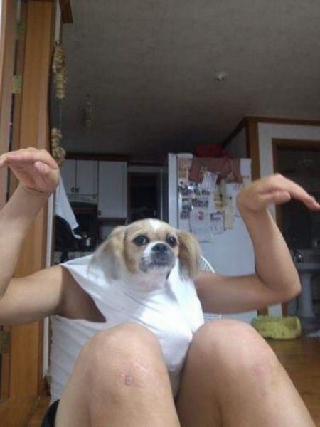 Bildschirmarbeiter - Picdump 15.08.2014