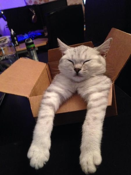 Bildschirmarbeiter - Picdump 15.08.2014