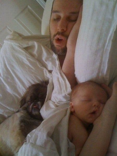 Bildschirmarbeiter - Picdump 15.08.2014