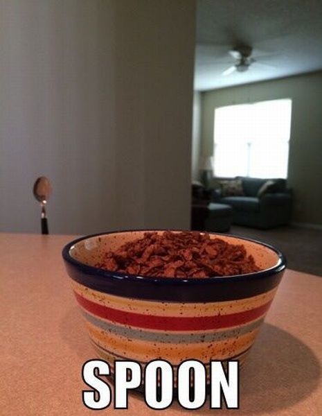 Bildschirmarbeiter - Picdump 15.08.2014