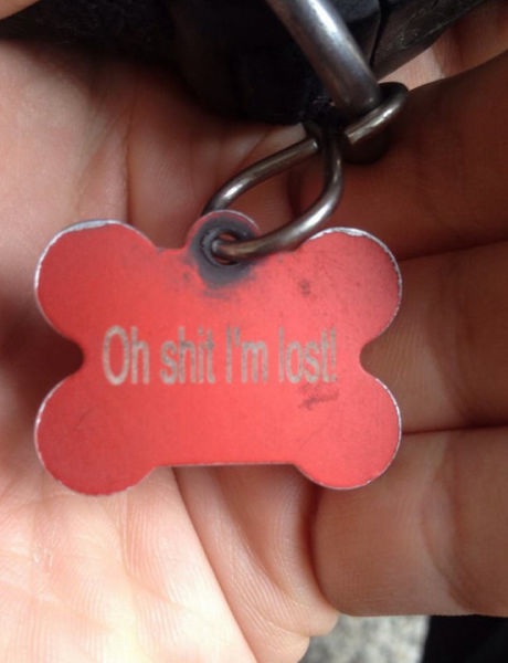 Bildschirmarbeiter - Picdump 15.08.2014