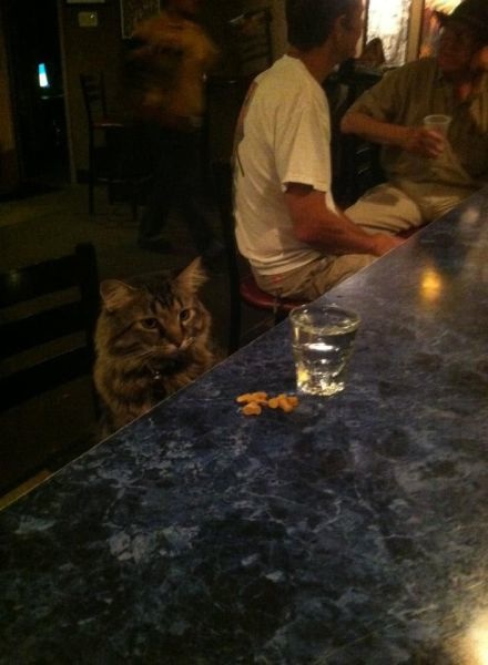 Bildschirmarbeiter - Picdump 15.08.2014