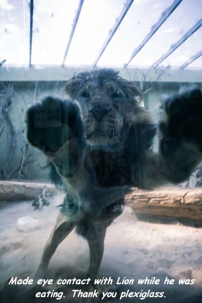 Bildschirmarbeiter - Picdump 15.08.2014