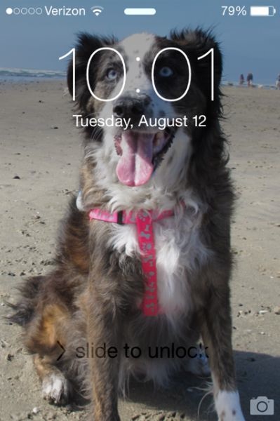 Bildschirmarbeiter - Picdump 15.08.2014