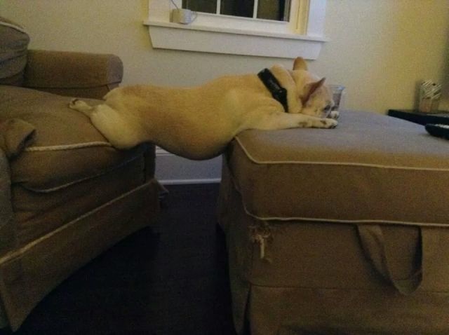 Bildschirmarbeiter - Picdump 15.08.2014