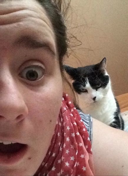 Bildschirmarbeiter - Picdump 15.08.2014