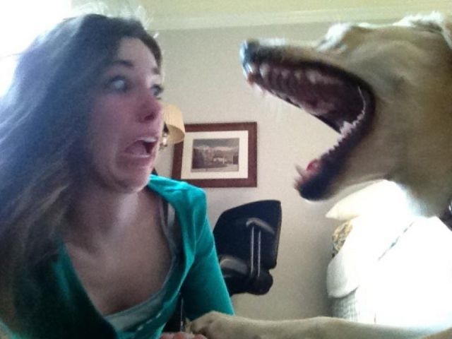 Bildschirmarbeiter - Picdump 15.08.2014