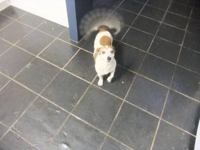 Bildschirmarbeiter - Picdump 15.08.2014