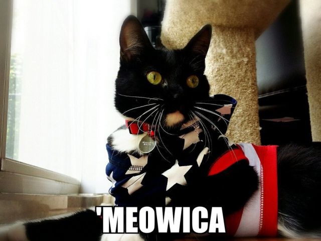 Bildschirmarbeiter - Picdump 15.08.2014