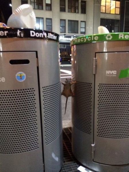 Bildschirmarbeiter - Picdump 15.08.2014