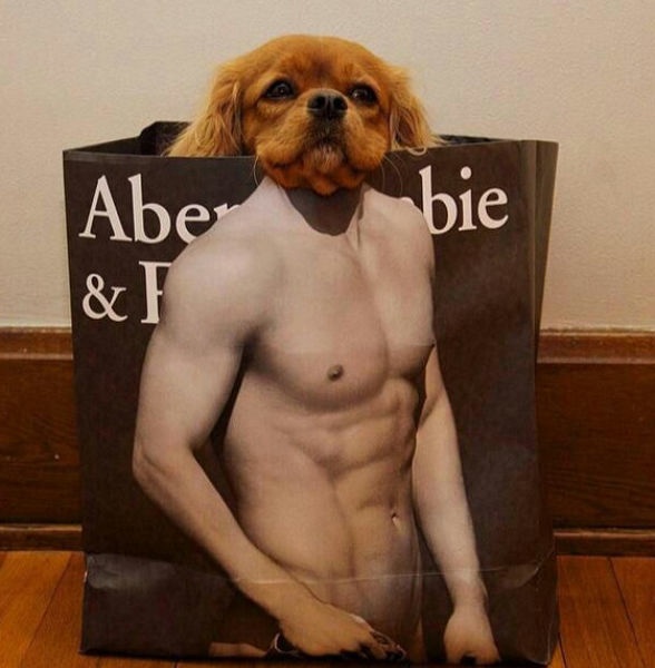 Bildschirmarbeiter - Picdump 15.08.2014